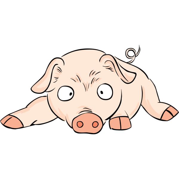 Pig lying down Thumbnail