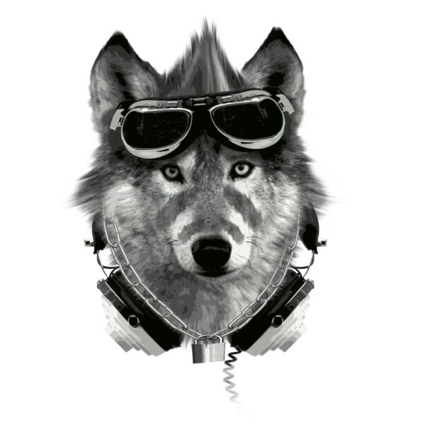 new wolf with white back Thumbnail