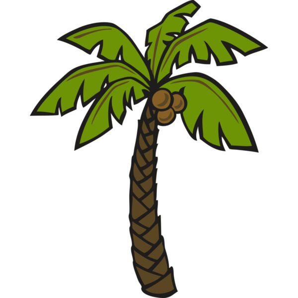 Palm Coconut Tree Thumbnail