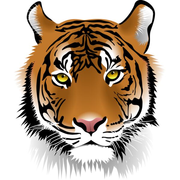 Tiger Thumbnail